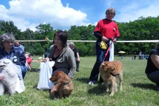28.5.2011 - Štětský voříšek 2011 I – fotografie 38