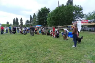 28.5.2011 - Štětský voříšek 2011 I – fotografie 55