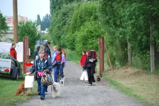 28.5.2011 - Štětský voříšek 2011 II – fotografie 8