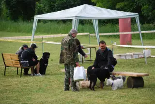 28.5.2011 - Štětský voříšek 2011 II – fotografie 18