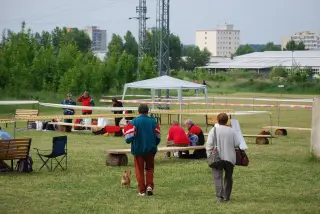 28.5.2011 - Štětský voříšek 2011 II – fotografie 19