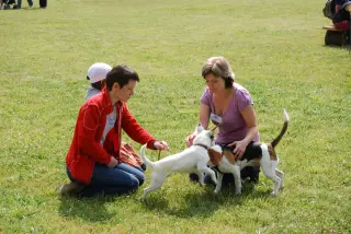 28.5.2011 - Štětský voříšek 2011 II – fotografie 39