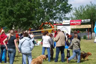 28.5.2011 - Štětský voříšek 2011 II – fotografie 48