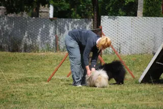 28.5.2011 - Štětský voříšek 2011 II – fotografie 52