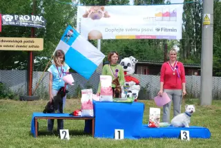 28.5.2011 - Štětský voříšek 2011 II – fotografie 67