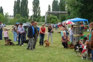 28.5.2011 - Štětský voříšek 2011 II – fotografie 73