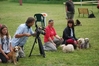 28.5.2011 - Štětský voříšek 2011 II – fotografie 78