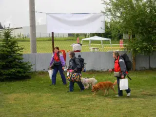 28.5.2011 - Štětský voříšek 2011 III – fotografie 2