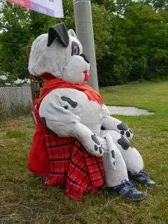 28.5.2011 - Štětský voříšek 2011 III – fotografie 3