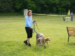 28.5.2011 - Štětský voříšek 2011 III – fotografie 5