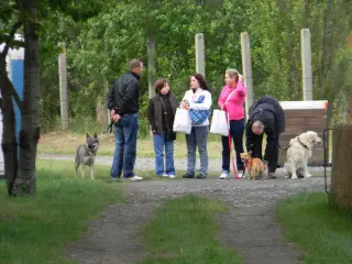 28.5.2011 - Štětský voříšek 2011 III – fotografie 6