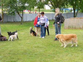28.5.2011 - Štětský voříšek 2011 III – fotografie 10
