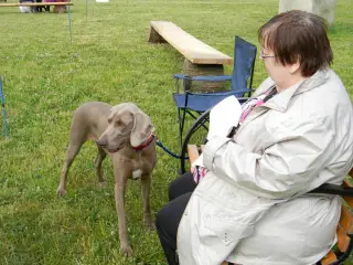 28.5.2011 - Štětský voříšek 2011 III – fotografie 13