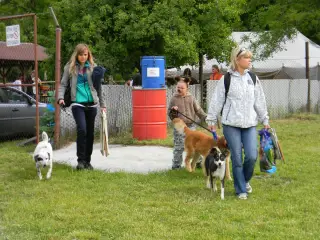 28.5.2011 - Štětský voříšek 2011 III – fotografie 16