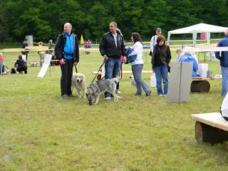 28.5.2011 - Štětský voříšek 2011 III – fotografie 18