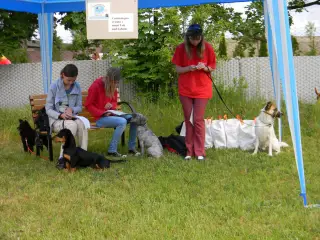 28.5.2011 - Štětský voříšek 2011 III – fotografie 19