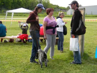 28.5.2011 - Štětský voříšek 2011 III – fotografie 25