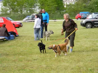 28.5.2011 - Štětský voříšek 2011 III – fotografie 26