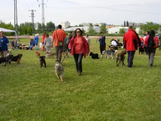 28.5.2011 - Štětský voříšek 2011 III – fotografie 30