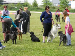 28.5.2011 - Štětský voříšek 2011 III – fotografie 31
