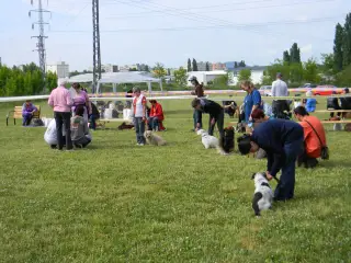28.5.2011 - Štětský voříšek 2011 III – fotografie 32