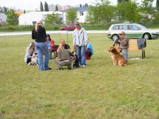 28.5.2011 - Štětský voříšek 2011 III – fotografie 36