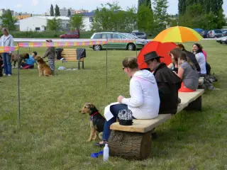 28.5.2011 - Štětský voříšek 2011 III – fotografie 37