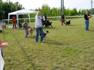 28.5.2011 - Štětský voříšek 2011 III – fotografie 40
