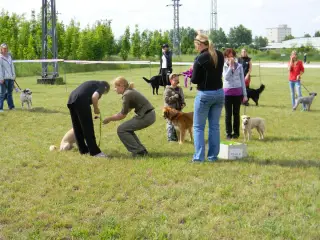 28.5.2011 - Štětský voříšek 2011 III – fotografie 42