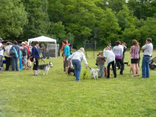 28.5.2011 - Štětský voříšek 2011 III – fotografie 44