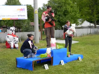 28.5.2011 - Štětský voříšek 2011 III – fotografie 47