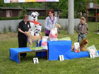 28.5.2011 - Štětský voříšek 2011 III – fotografie 48