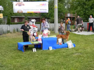 28.5.2011 - Štětský voříšek 2011 III – fotografie 49
