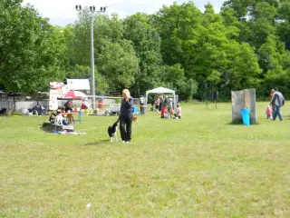 28.5.2011 - Štětský voříšek 2011 III – fotografie 51
