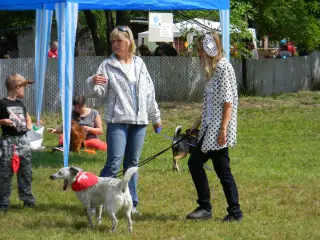 28.5.2011 - Štětský voříšek 2011 III – fotografie 52