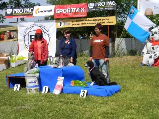 28.5.2011 - Štětský voříšek 2011 III – fotografie 59