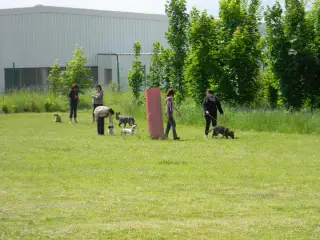 28.5.2011 - Štětský voříšek 2011 III – fotografie 60