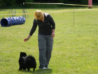 28.5.2011 - Štětský voříšek 2011 III – fotografie 61