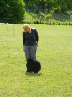 28.5.2011 - Štětský voříšek 2011 III – fotografie 63