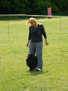 28.5.2011 - Štětský voříšek 2011 III – fotografie 66