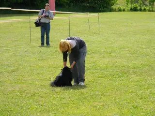 28.5.2011 - Štětský voříšek 2011 III – fotografie 69