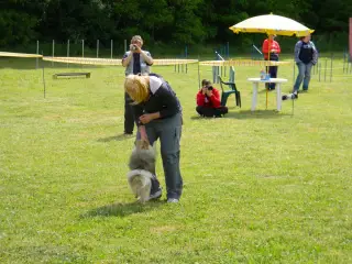 28.5.2011 - Štětský voříšek 2011 III – fotografie 70