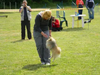 28.5.2011 - Štětský voříšek 2011 III – fotografie 72