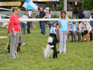 28.5.2011 - Štětský voříšek 2011 III – fotografie 80