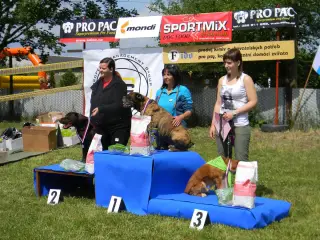 28.5.2011 - Štětský voříšek 2011 III – fotografie 86