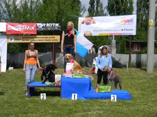 28.5.2011 - Štětský voříšek 2011 III – fotografie 89