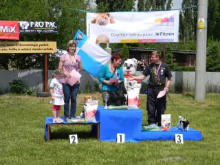 28.5.2011 - Štětský voříšek 2011 III – fotografie 91