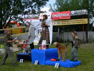 28.5.2011 - Štětský voříšek 2011 III – fotografie 99