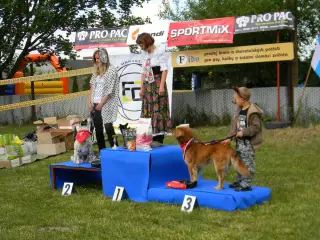 28.5.2011 - Štětský voříšek 2011 III – fotografie 100
