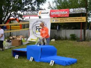 28.5.2011 - Štětský voříšek 2011 III – fotografie 102